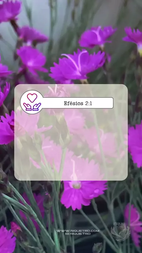 Efésios 02