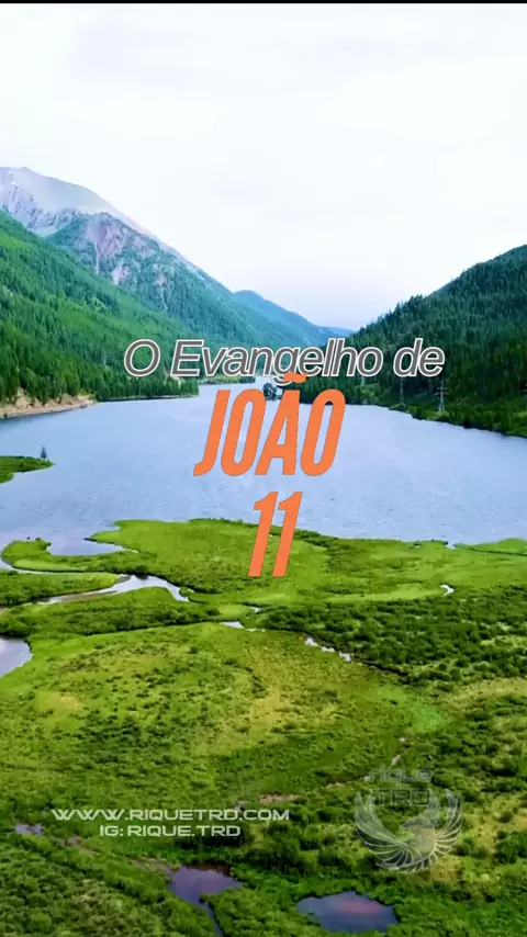João 11