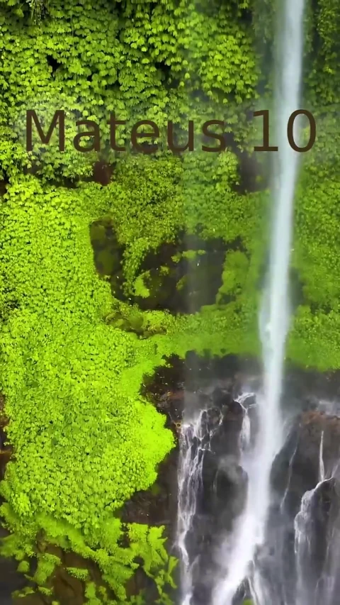 Mateus 10