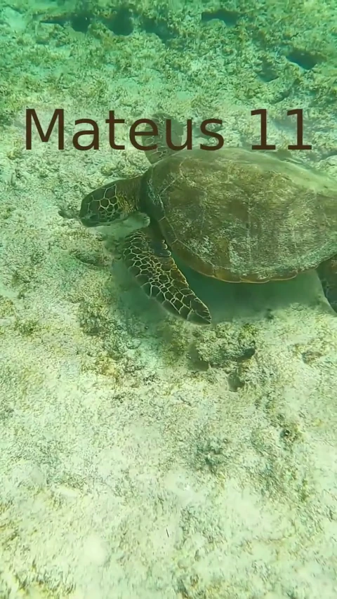 Mateus 11