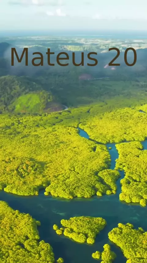 Mateus 20