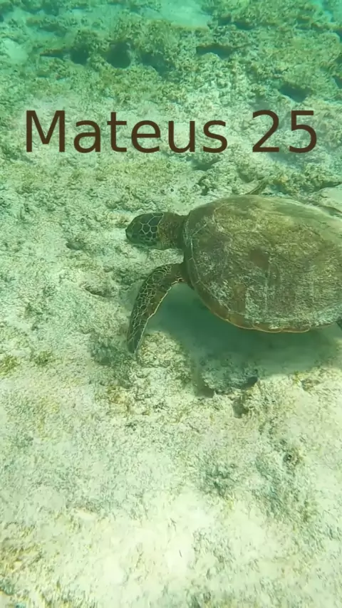 Mateus 25