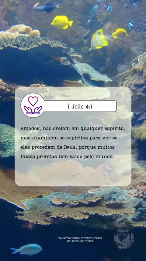 1 João 04