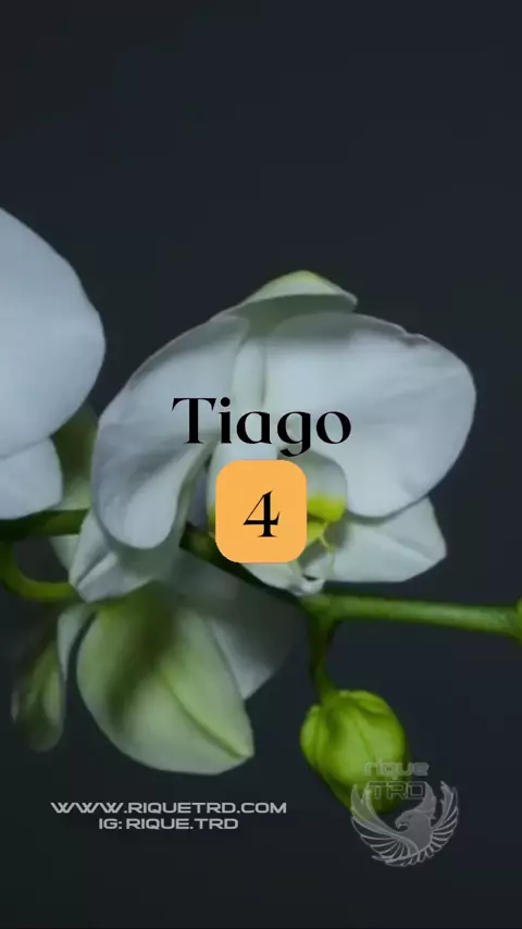 Tiago 04